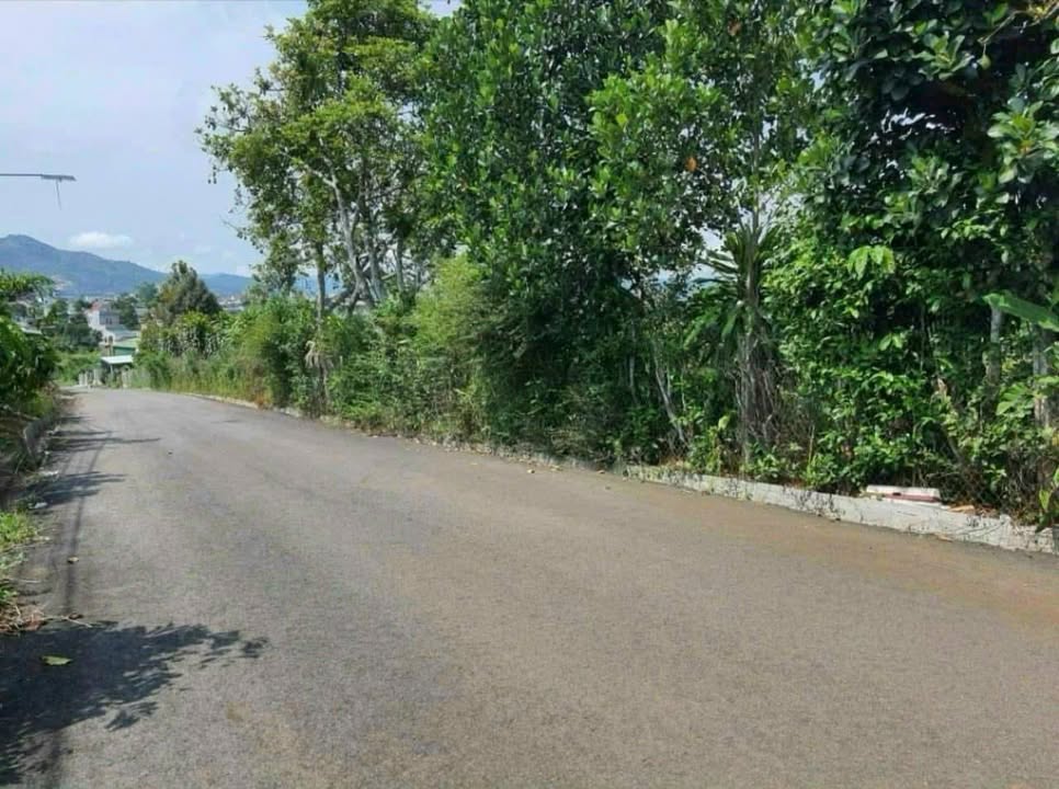 Đất thổ cư 784m² hẻm 135 Nguyễn Tri Phương, Bảo Lộc - Giá chỉ 5.2 tỷ!