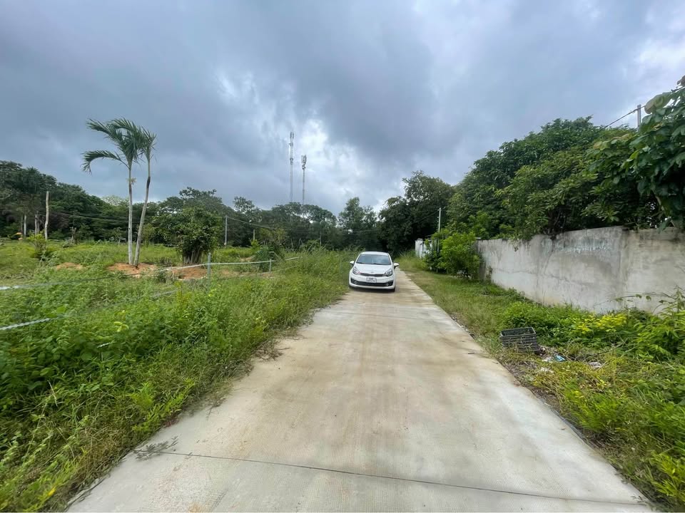 Đất nền Long Điền 6500m² giá 3.2 tỷ - Đầu tư sinh lời lý tưởng!