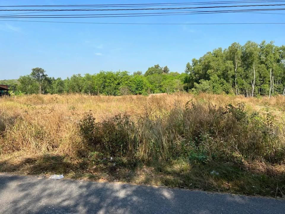 Đất thổ cư 6036m² tại xã Long Nguyên, huyện Bàu Bàng - Giá 8 tỷ, mặt tiền 65m!