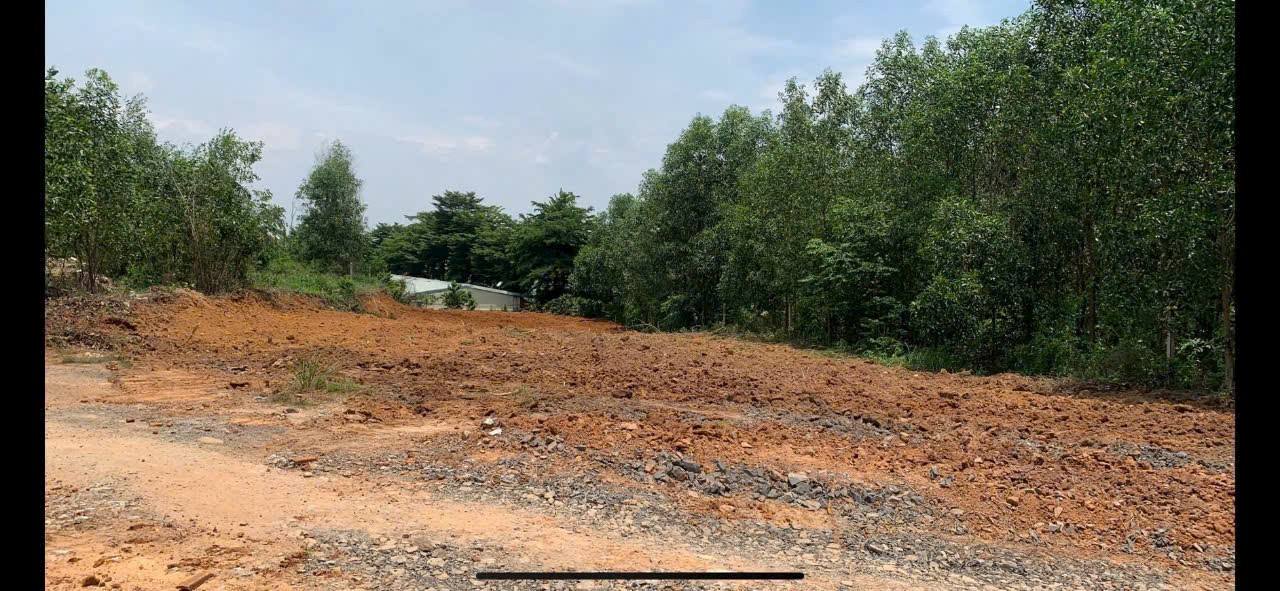 Đất nền Phường Uyên Hưng 1500m² giá 5 tỷ - Cơ hội đầu tư hấp dẫn!