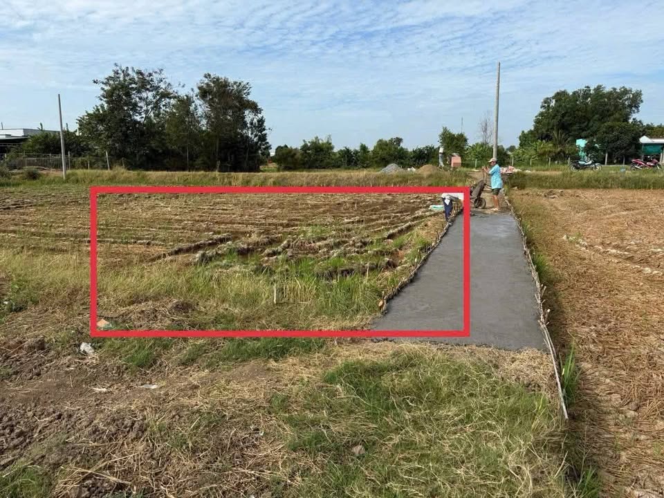 Đất thổ cư 196m² xã Tân Ân, Cần Đước - Chỉ 480 triệu, chính chủ!