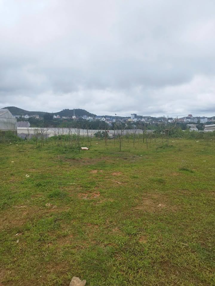 Đất nền Phường Langbiang Đà Lạt 91.5m² giá 1.2 tỷ - Cơ hội đầu tư sinh lời!