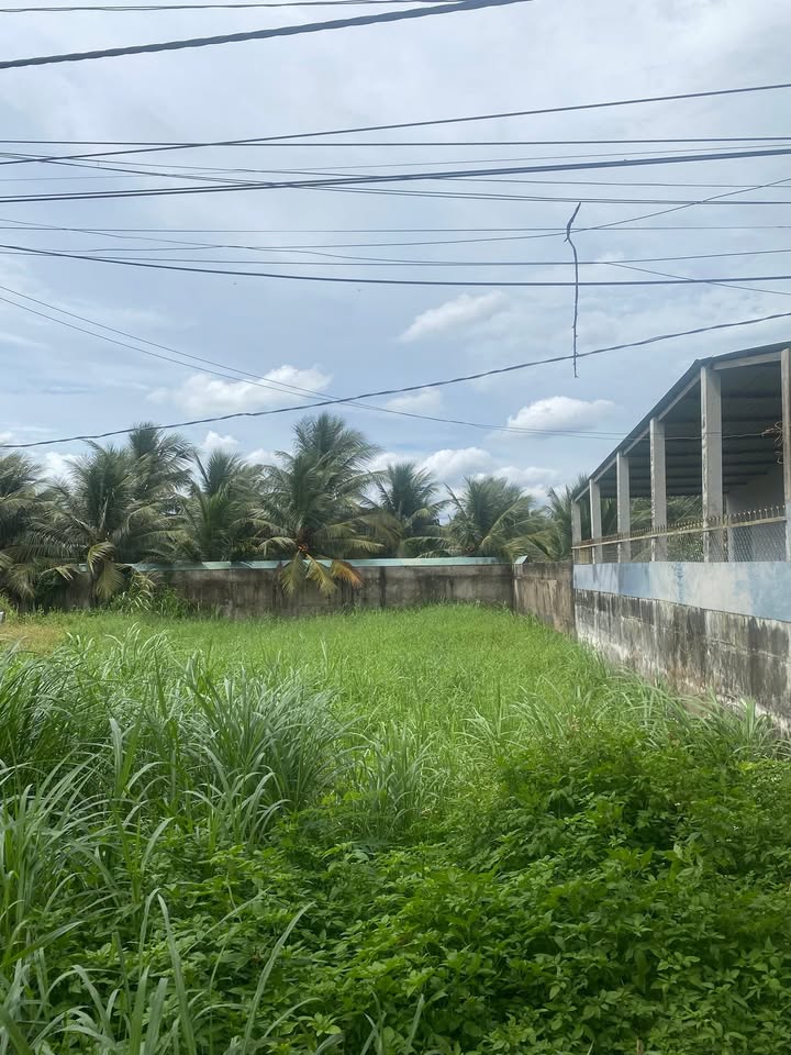 Đất mặt tiền đường Trần Thị Thơm Tân Mỹ Chánh 165m² giá 1.5 tỷ - Đầu tư sinh lời ngay!