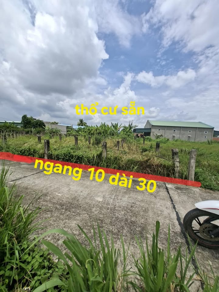 Đất nền chính chủ Lập Bình, Hàm Thuận Nam 300m² giá 650 triệu - Sổ hồng riêng!