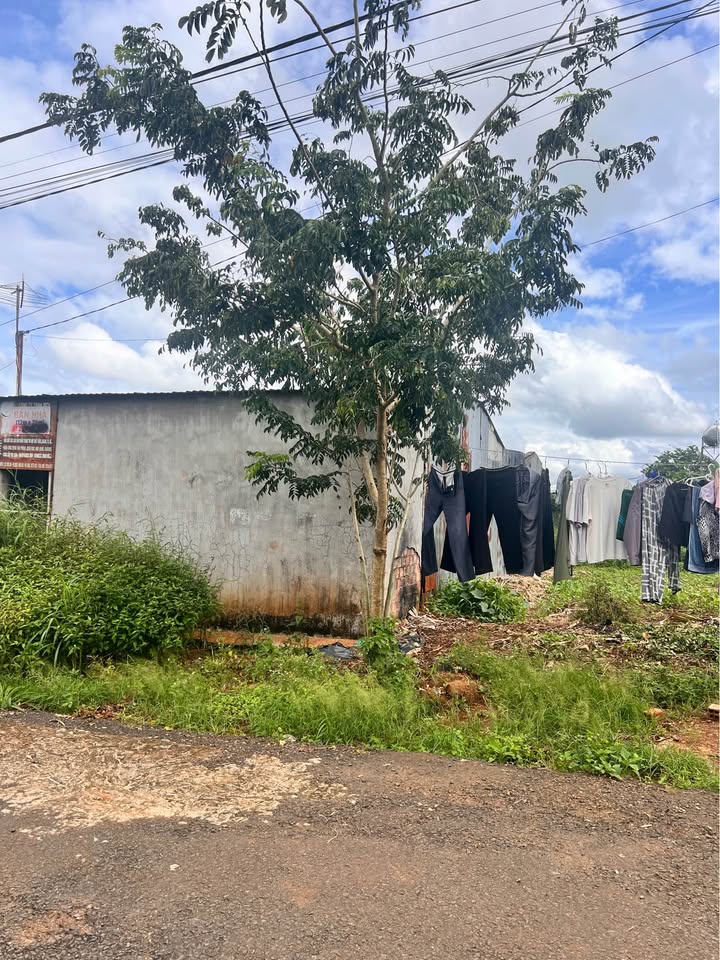 Đất mặt đường Nguyễn Thượng Hiền, Pleiku 150m² - Cơ hội đầu tư tuyệt vời!