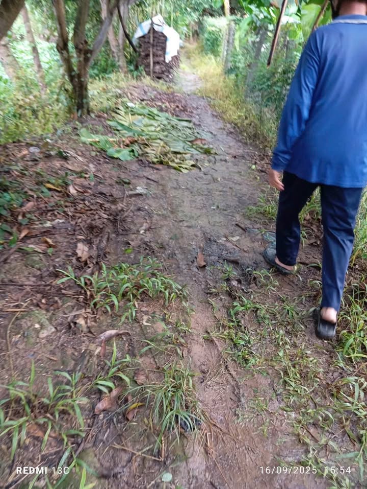 Đất Long Hậu Lai Vung 5900m² giá 1.4 tỷ - Cơ hội đầu tư tuyệt vời!