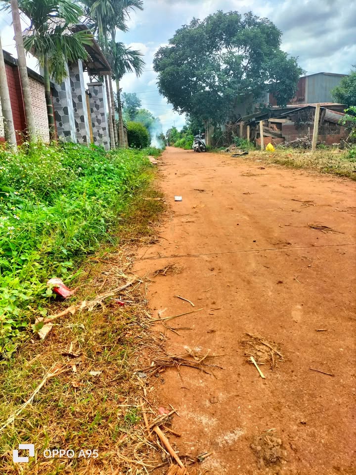 Đất nền Phước An, Krông Pắc 150m² giá chỉ 399 triệu - Cơ hội đầu tư tuyệt vời!