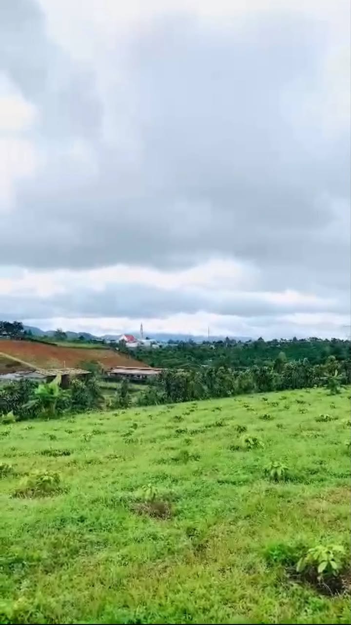 Đất 2 mặt tiền Phường Lộc Tiến 4.300m² giá 3.5 tỷ - Cơ hội đầu tư hấp dẫn!