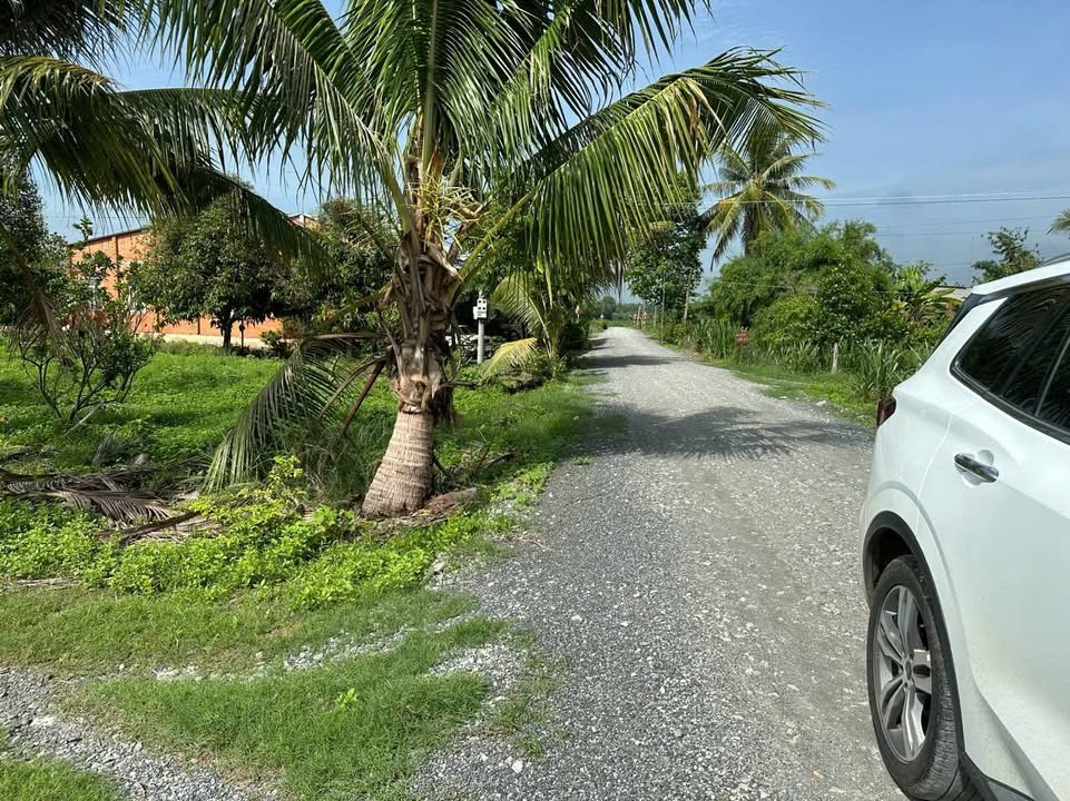 Đất thổ cư 100% Lộc Ninh 100m² giá chỉ 199 triệu - Cơ hội tuyệt vời cho tài chính thấp!