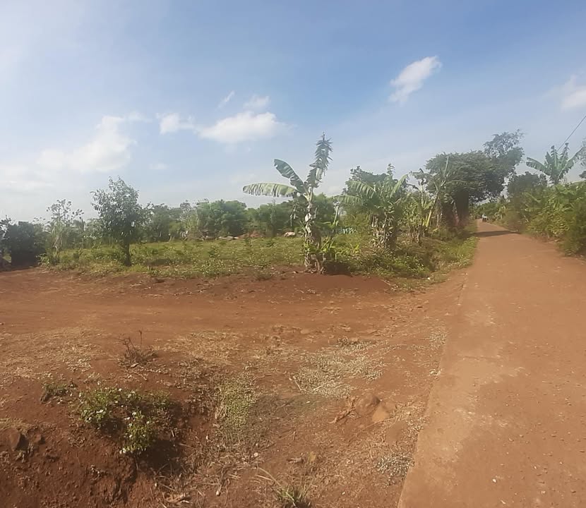 Đất nông nghiệp Ea Drông Buôn Hồ 884m² giá chỉ 700 triệu - Pháp lý rõ ràng!