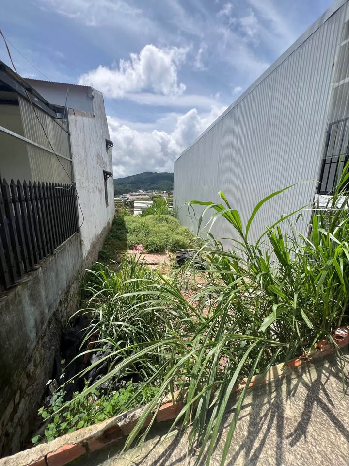 Đất nền đẹp 108m² đường Ngô Thì Sỹ, Đà Lạt chỉ 1.38 tỷ - Đầu tư sinh lời ngay!