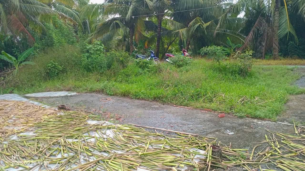 Đất thổ cư Tân Long Mang Thít 109m² giá 260 triệu - Cơ hội đầu tư tuyệt vời!