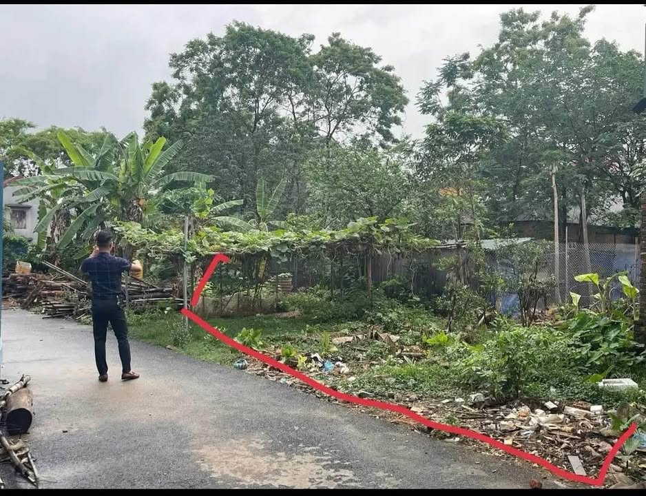 Đất nền Vĩnh Yên 129m² giá 1.2 tỷ - Đường ô tô vào tận nơi!