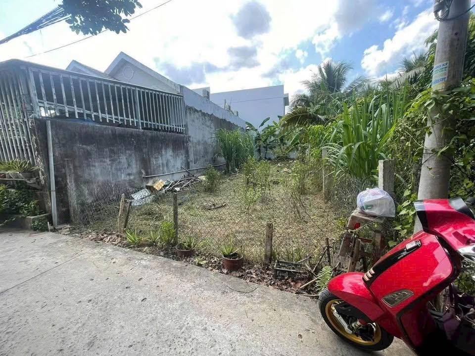 Đất thổ cư phường An Hội, Bến Tre - 110m² chỉ 600 triệu - Cơ hội đầu tư tuyệt vời!