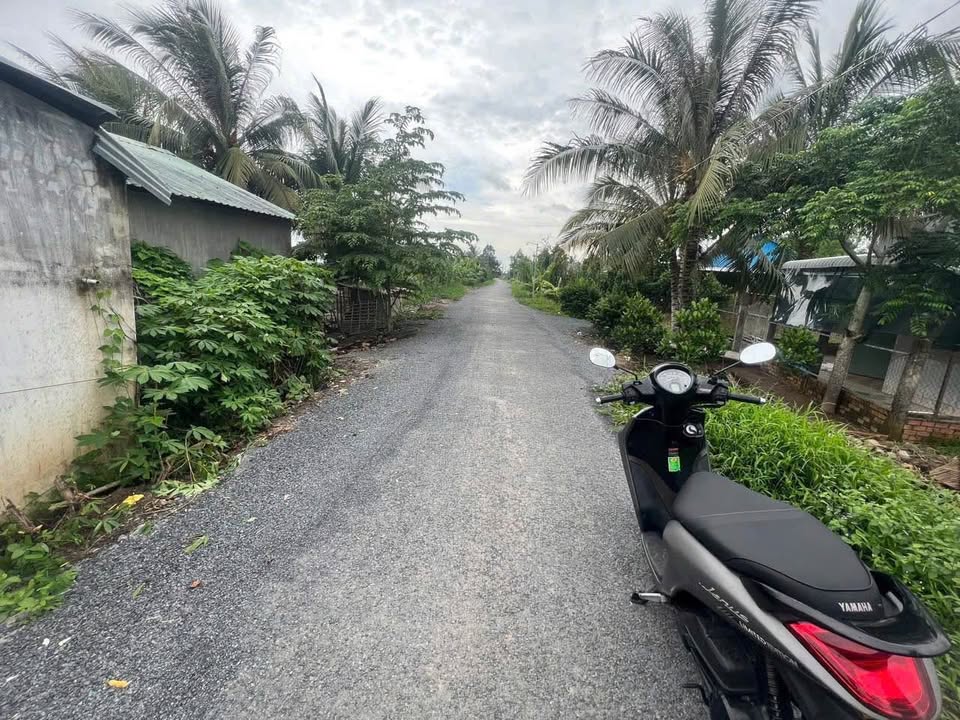 Đất mặt tiền đường tỉnh lộ 908, Vĩnh Long 2000m² giá 1.9 tỷ - Cơ hội đầu tư hấp dẫn!