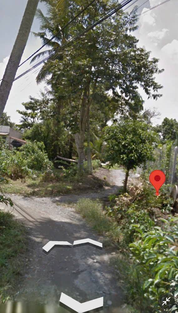 Nhà đất nông nghiệp Bình Mỹ, Củ Chi 66m² giá 850 triệu - Pháp lý sổ hồng chính chủ!