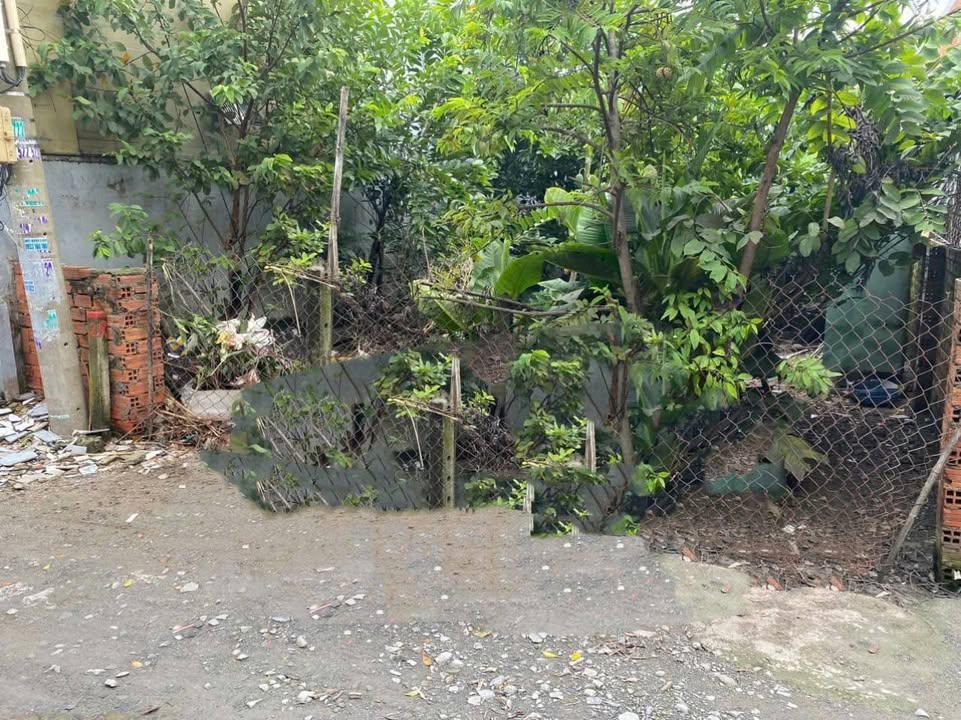 Đất 108m² Ấp 2 Tân Thạnh Đông, Củ Chi - Giá chỉ 1.95 tỷ, chính chủ!