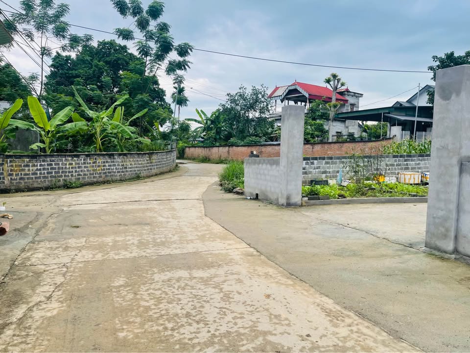 Đất nền Tân Vinh, Lương Sơn 262m² - Cơ hội đầu tư hiếm có!