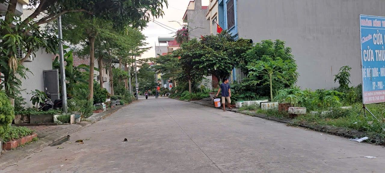 Đất nền Làn 2 Đường 36, Phượng Mao 100m² giá 4 tỷ - Vị trí đẹp, sổ hồng chính chủ!