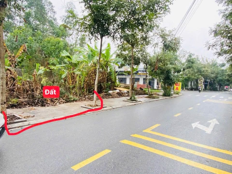 Đất kinh doanh đường Tôn Đức Thắng, TP Vĩnh Yên 100m² giá chỉ 4 tỷ - Đầu tư sinh lời cao!