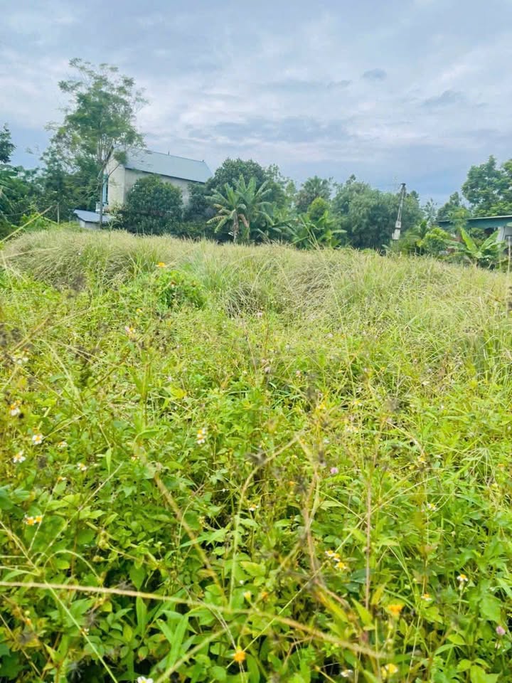 Đất thổ cư 476m² tại Văn Lung, Phú Thọ giá 1 tỷ - Đầu tư sinh lời ngay!