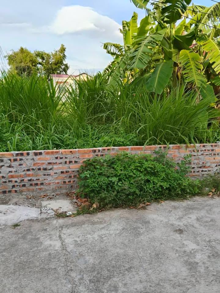 Đất lô góc Hồng Thái, An Dương 50m² giá 930 triệu - Pháp lý rõ ràng, chính chủ!