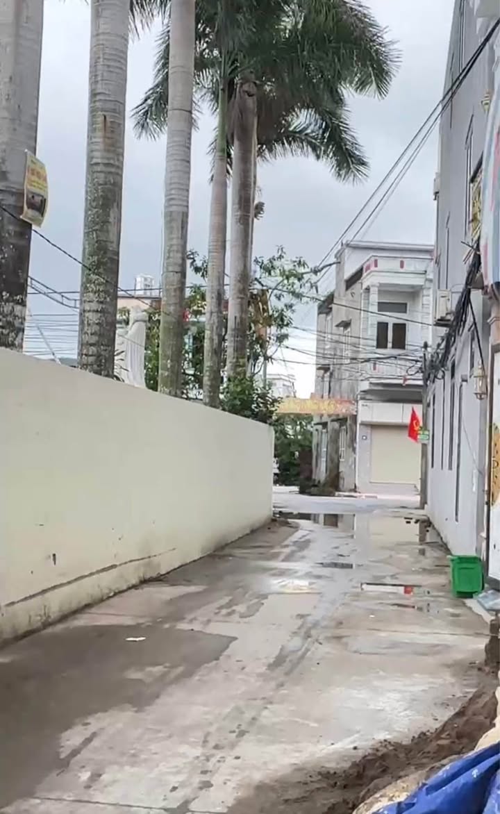 Đất nền Quỳnh Hoàng, Nam Sơn, Hải Phòng 50m² giá 1.3 tỷ - Đầu tư sinh lời ngay!