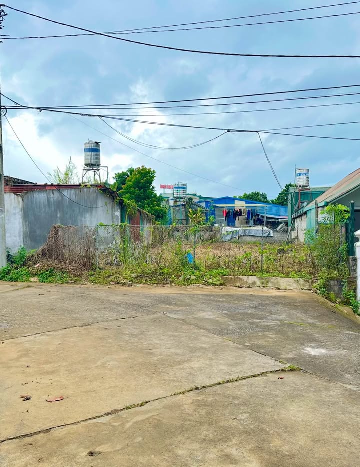 Đất thổ cư 285m² mặt đường bê tông phường Tân Phong - Giá chỉ 1 tỷ!