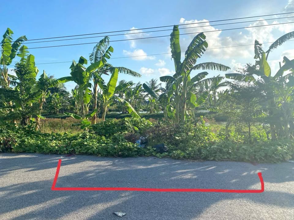 Đất nền Tiên Hưng, Tiên Lãng 100m² giá 1 tỷ - Đầu tư sinh lời cao!