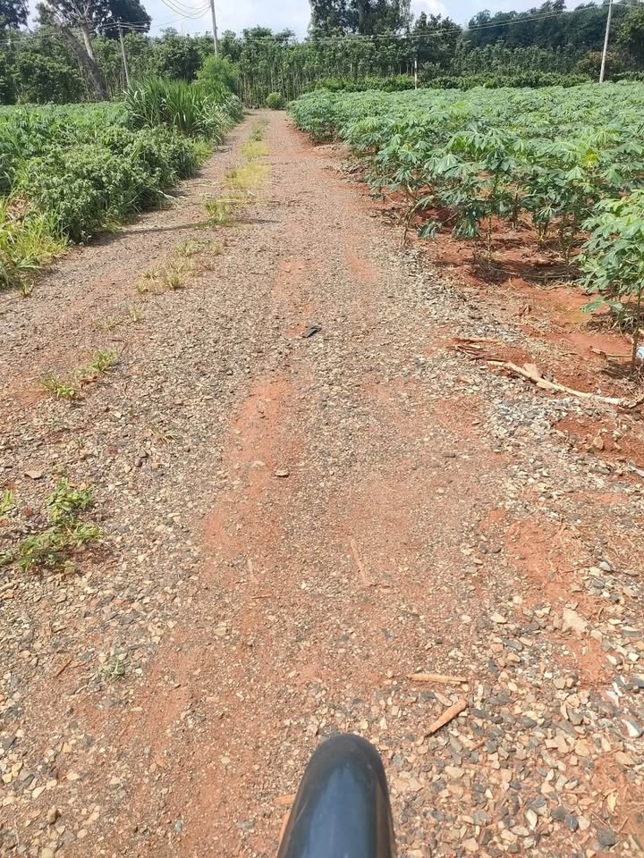 Đất nền xã Sơn Bình, Châu Đức 1200m² giá 750 triệu - Cơ hội đầu tư hấp dẫn!