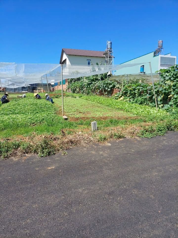 Đất nền Bảo Lộc 130m² giá 1.6 tỷ - Chính chủ cần bán gấp!