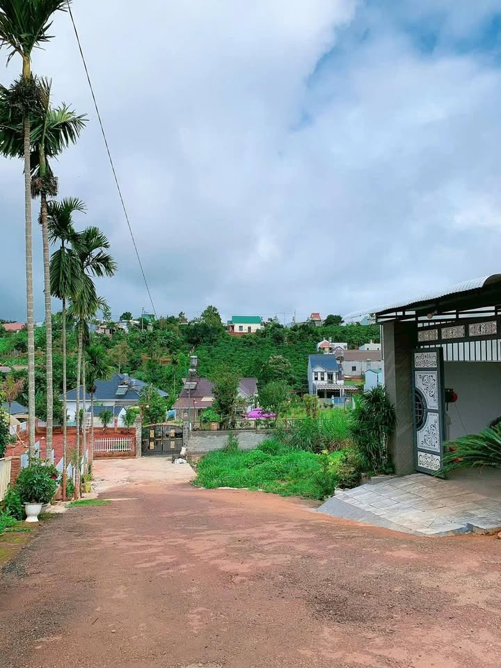 Đất hẻm 111 Nguyễn Chí Thanh Bảo Lộc 140m² giá 1.37 tỷ - Sổ đỏ chính chủ, đầu tư hấp dẫn!