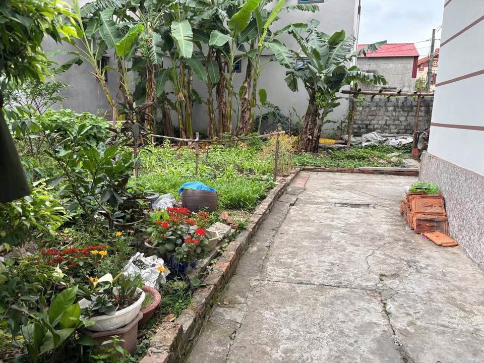 Đất nền Diêm Điền, Thái Thụy 75,2m² giá 800 triệu - Sổ đỏ chính chủ, ô tô vào tận đất!