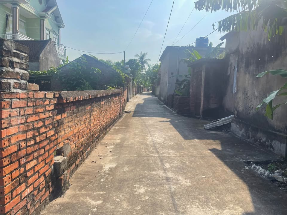 Đất Thụy Ninh Thái Thụy 170m² giá 500 triệu - Sổ đỏ chính chủ ngay!