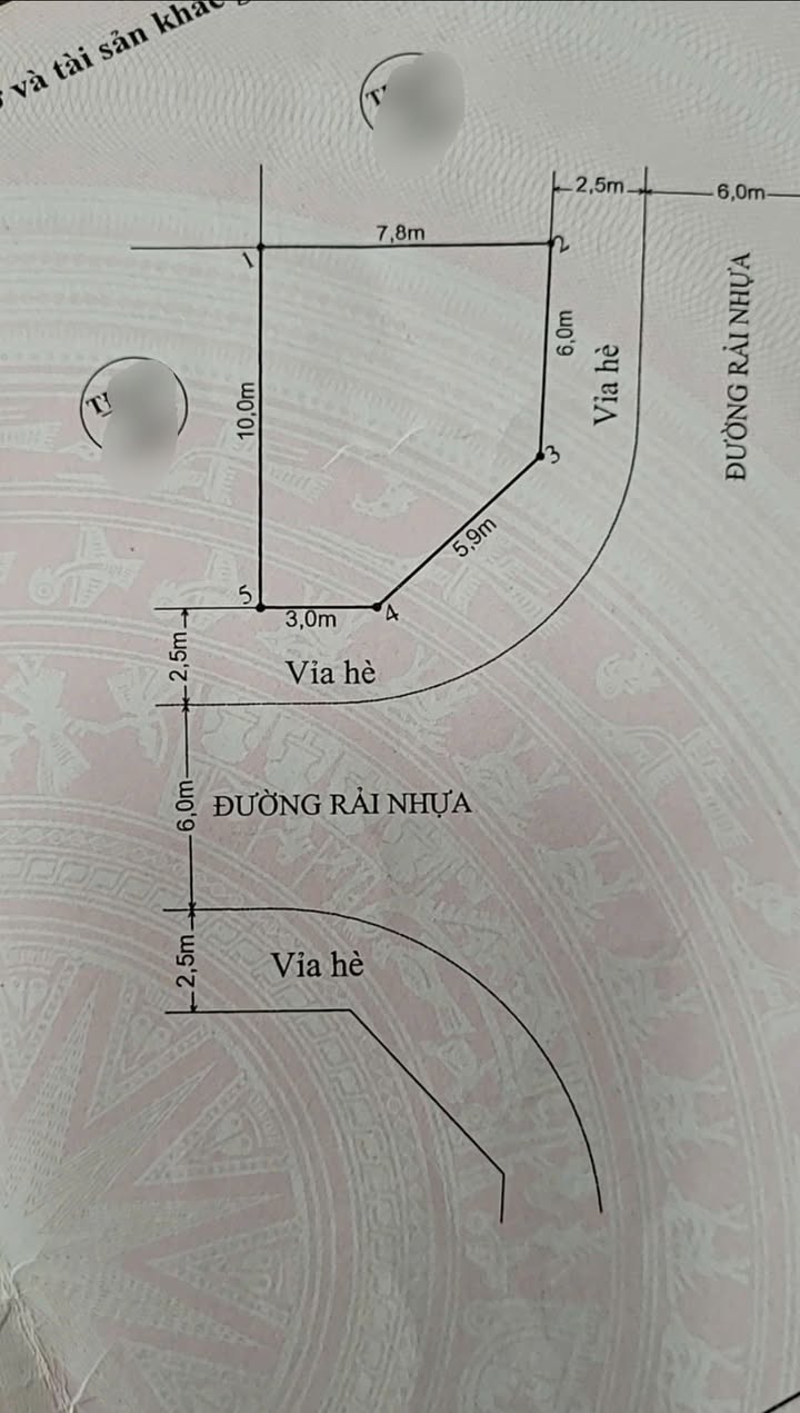 Đất nền Sở Dầu, Hồng Bàng 65.8m² chỉ 800 triệu - Lô góc cực thoáng