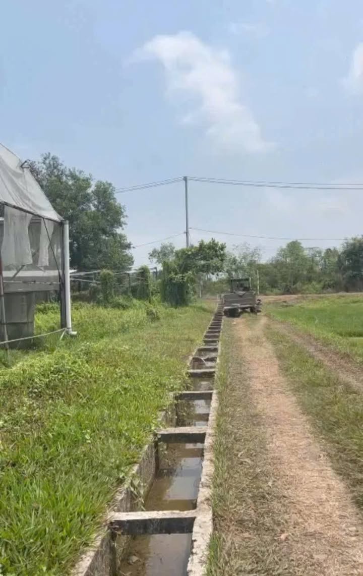 Đất vườn Thái Mỹ Củ Chi 500m² giá 1,1 tỷ - Sẵn sàng xây dựng!