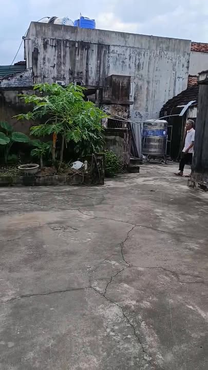 Đất thổ cư 185m² tại Yên Trị, Ý Yên - Gần chợ, trạm xá, trường học!