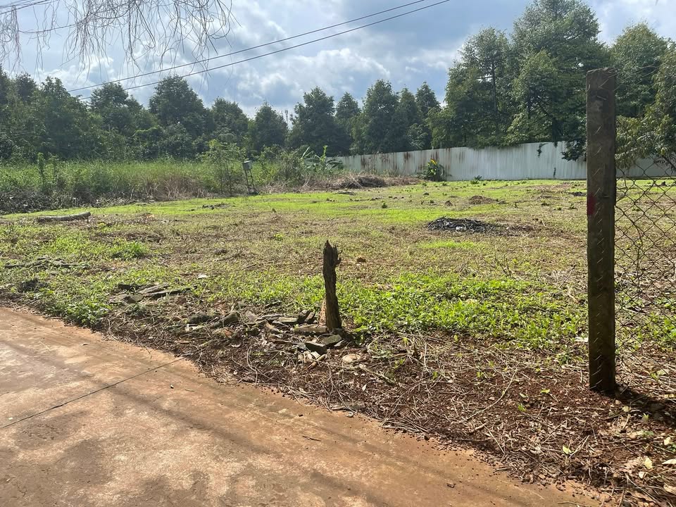 Đất nền phường Xuân Lập 561m² giá 1.6 tỷ - Đầu tư sinh lời ngay!