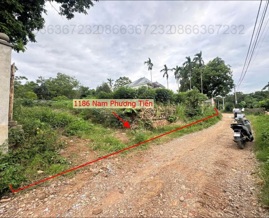 Đất nền xã Nam Phương Tiến 1186m² - Ô tô đỗ tận cửa, giá thỏa thuận!