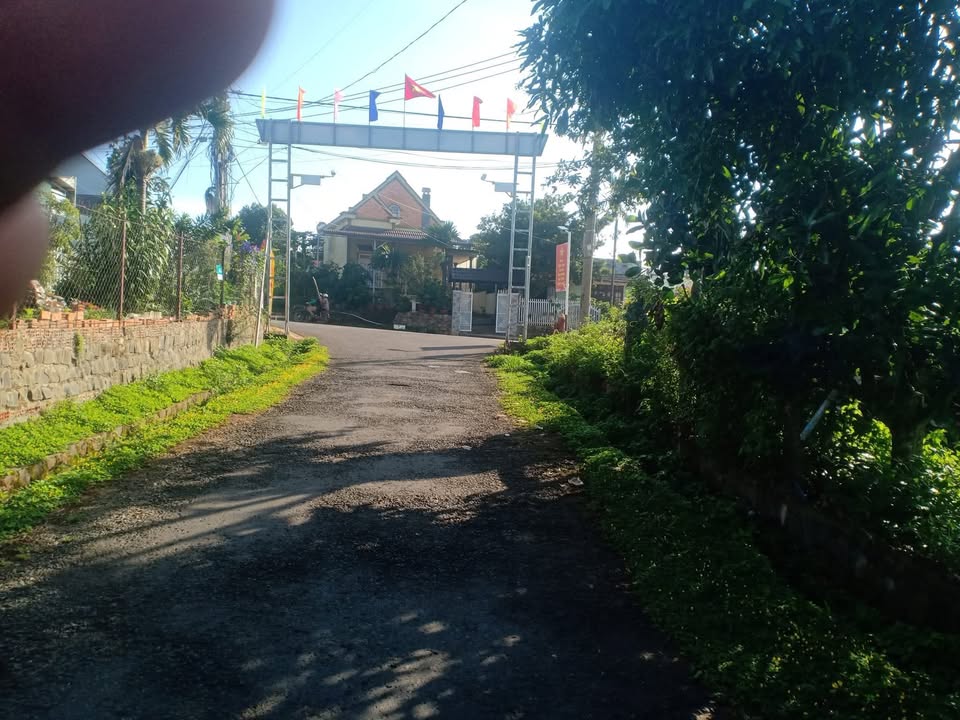 Nhà cấp 4 mặt tiền Tôn Thất Tùng, Di Linh 350m² giá 275 triệu - Đầu tư sinh lời ngay!