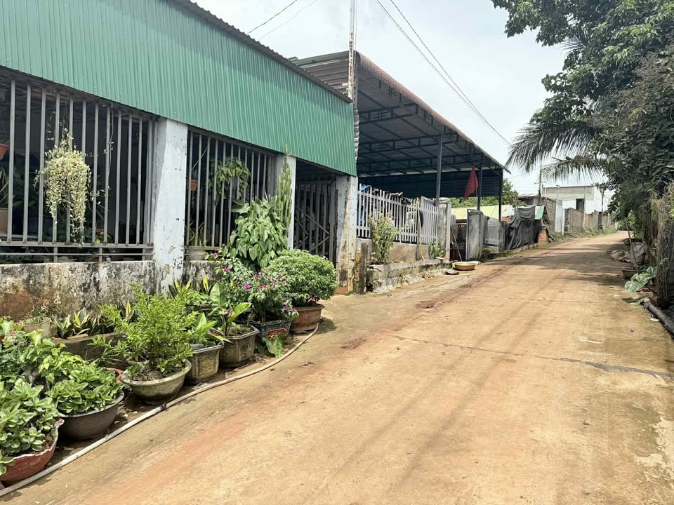 Đất nền xã Quảng Phú, huyện Krông Nô 170m² giá 560 triệu - Khu dân cư đông đúc, tiềm năng phát triển!