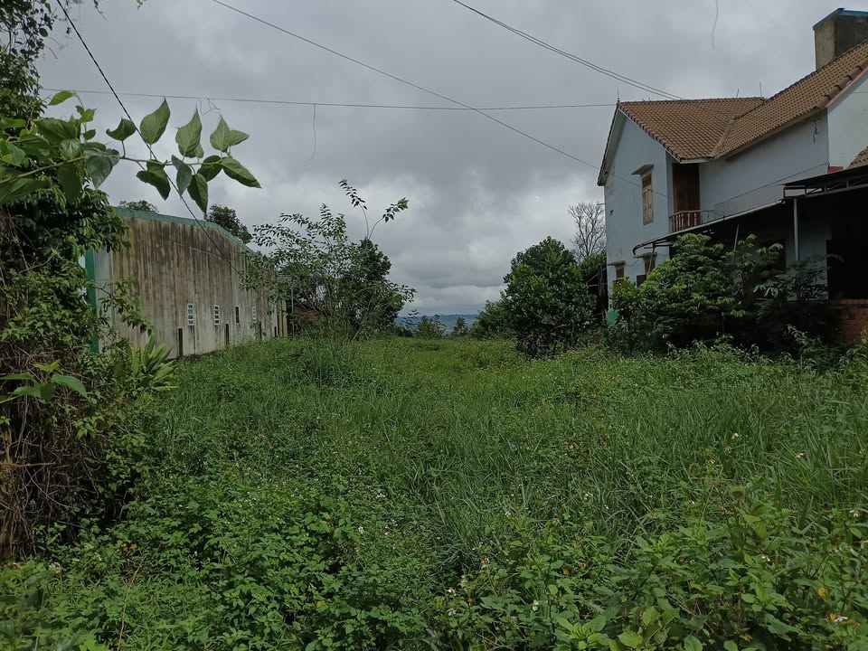 Đất mặt tiền Quốc lộ 14, xã Trường Xuân, 2100m² - Tiềm năng kinh doanh vượt trội!