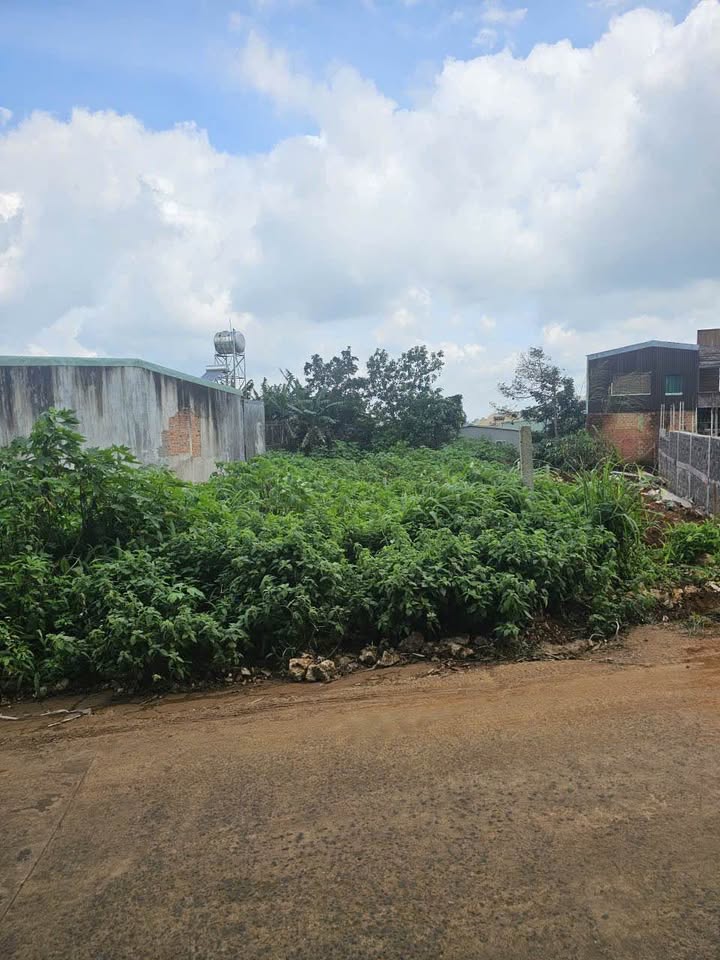 Đất nền hẻm 03 Nguyễn Thiếp, Pleiku 360m² giá 3 tỷ - Đầu tư sinh lời ngay!