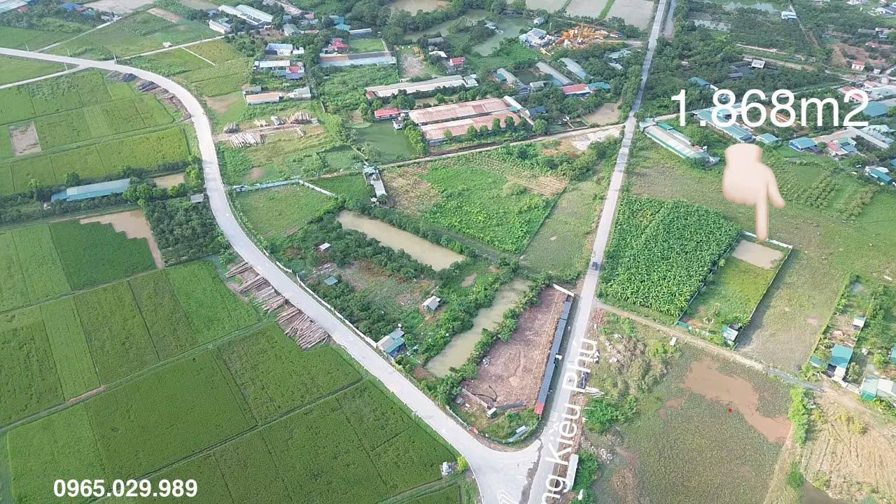 Trang trại 1.868m² Hoài Đức giá 3 tỷ - Cơ hội đầu tư hấp dẫn!