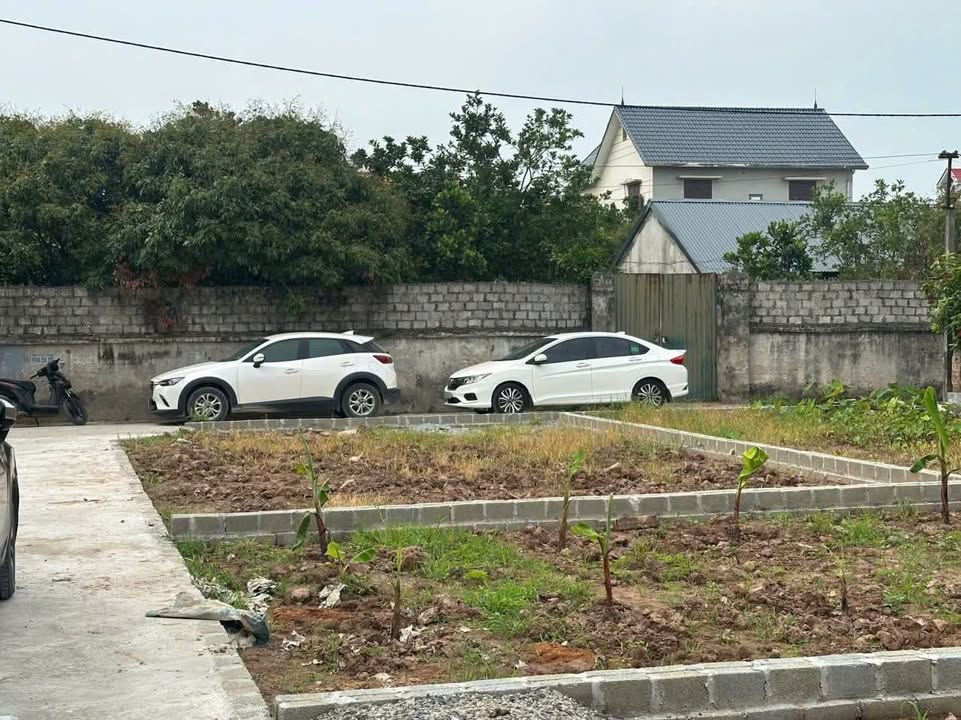 Đất thổ cư Chương Dương, Thường Tín 51.9m² giá 1.69 tỷ - Vị trí đắc địa, tiềm năng sinh lời!