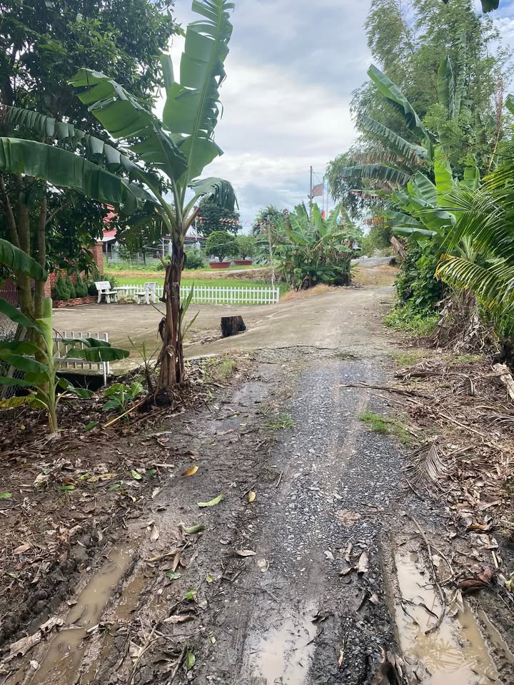 Đất nền mặt đường Đá Kênh Thanh Niên 2500m² giá 1 tỷ - Cơ hội đầu tư tuyệt vời!