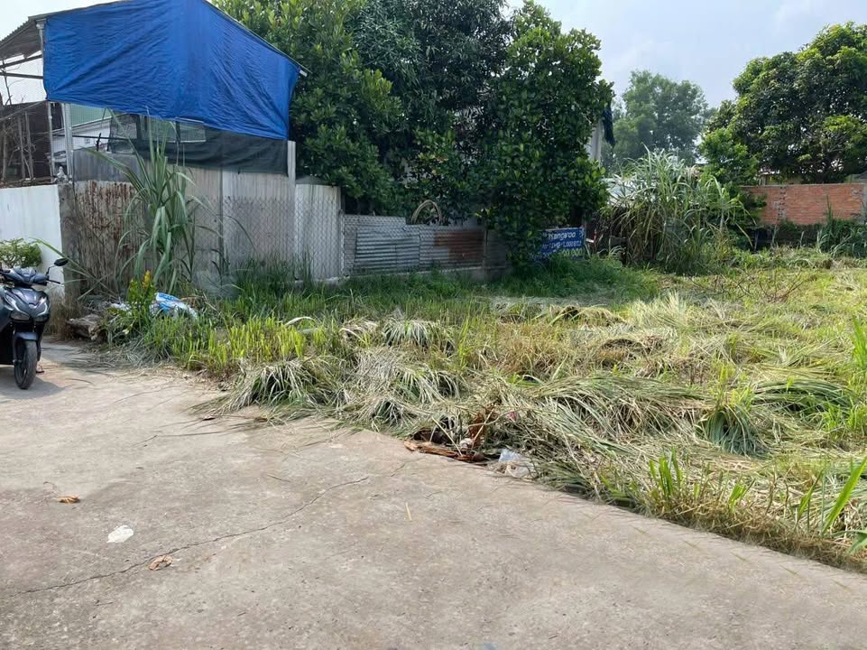 Đất nền Tân Thạnh Đông, Củ Chi 314m² giá 3,95 tỷ - Pháp lý sổ riêng, xây dựng tự do!