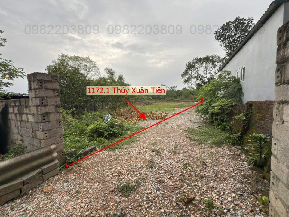 Đất thổ cư Thủy Xuân Tiên 1172m² giá 6 triệu/m² - Đầu tư sinh lời ngay!