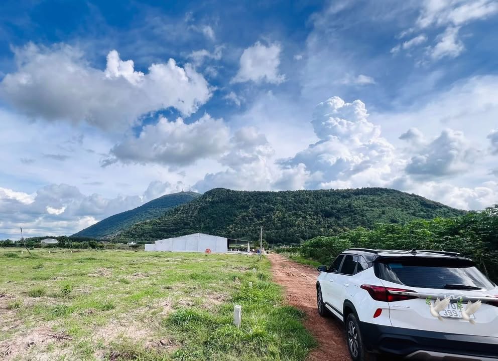 Bán đất 5.000m² tại Thạnh Tân, Tây Ninh - Vị trí đẹp, thích hợp nghỉ dưỡng!
