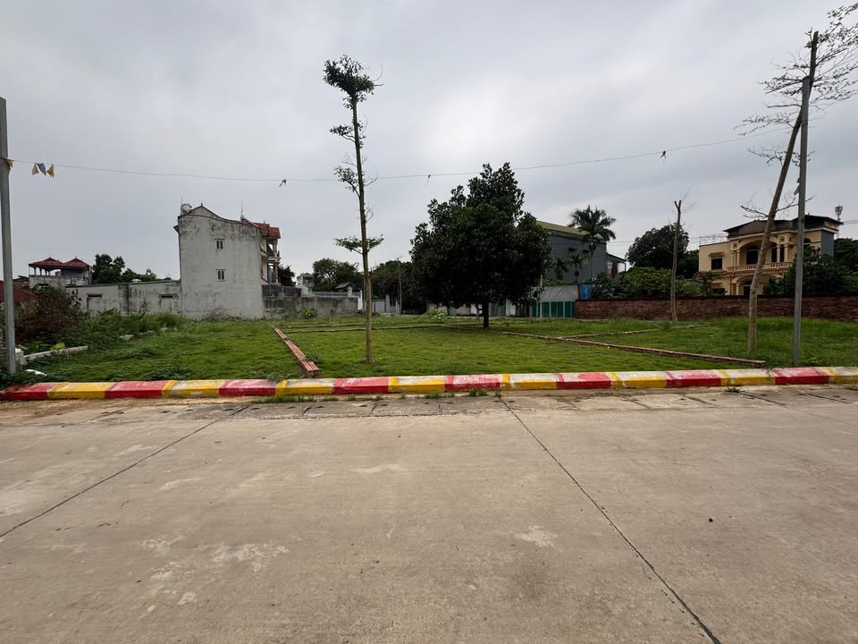 Đất thổ cư 100m² Cổ Đông - Mặt tiền đẹp, giá đầu tư